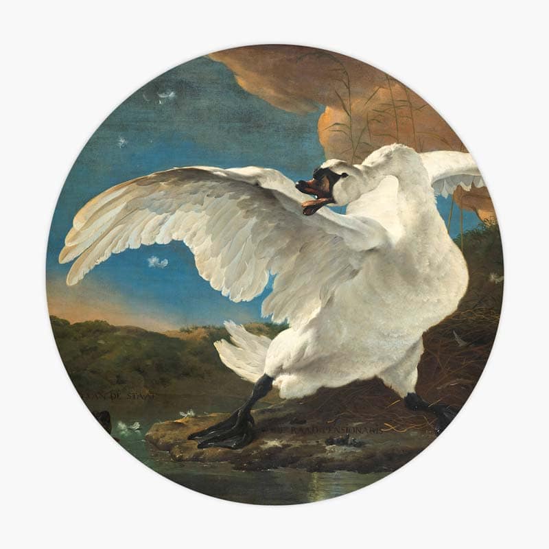 bedreigde-zwaan-muur-decoratie-wanddecoratie-muurcirkel-cirkel-cirkels-interieur