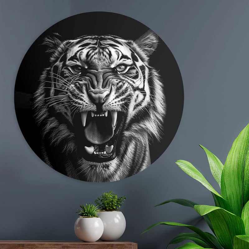 tijger-aanval-loaff-attack-tiger-zwart-wit-dieren-portret