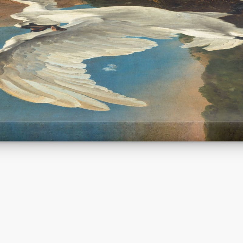 de-bedreigde-zwaan-loaff-canvas-canvasdoek-doek-gespannen-textiel-houten-frame-muur-decoratie-wanddecoratie